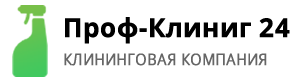 Продвижение сайтов в Фрязино