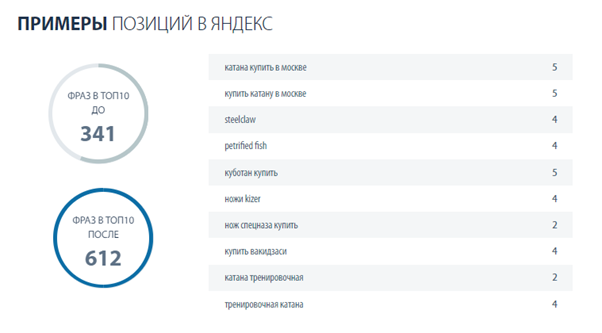 SEO продвижение сайта интернет-магазина «Красный дракон»